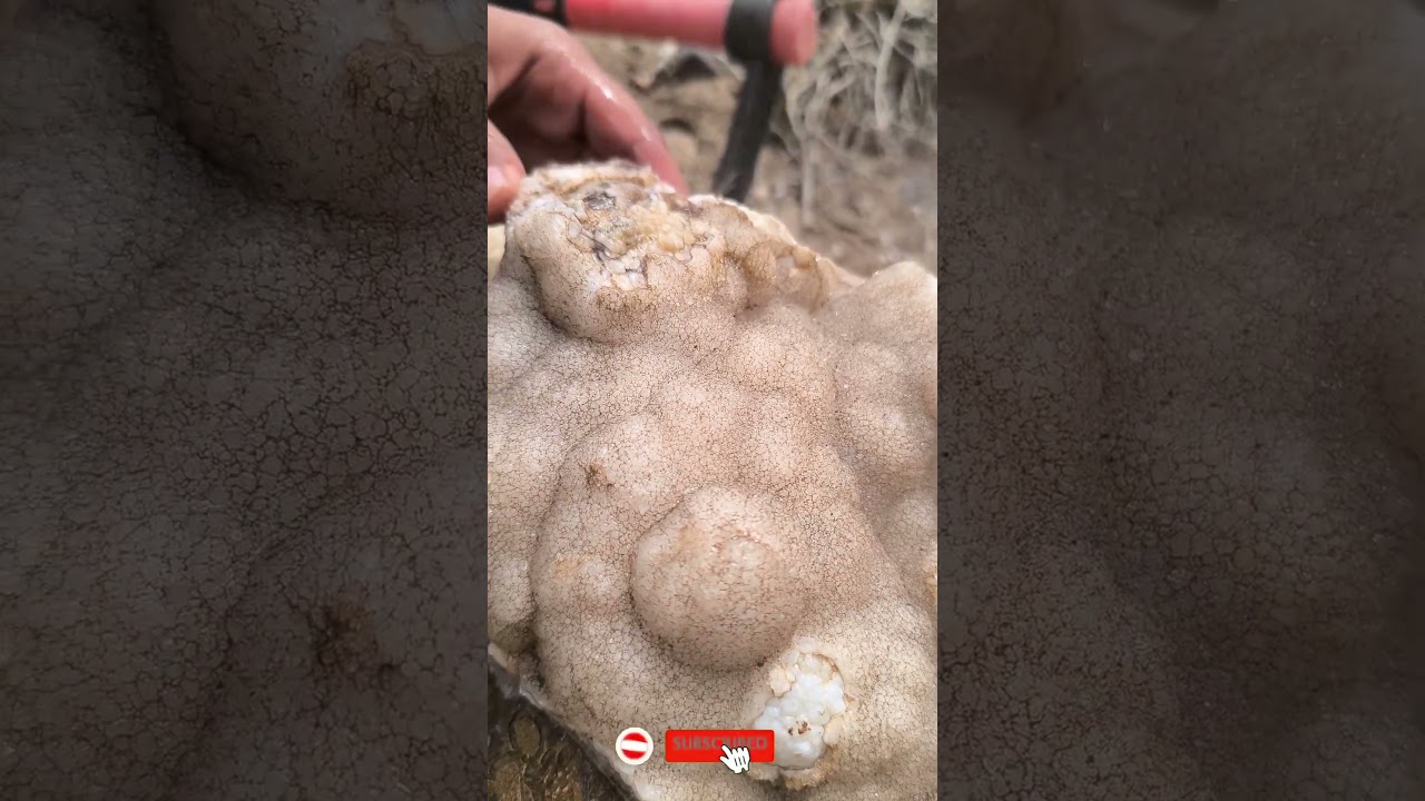 Botryoidal Agate? Or Alien Eggs?! 