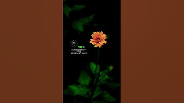 🔹MK🔷 #shorts viral 100 non copyrighted music