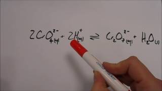 Dynamic Equilibrium