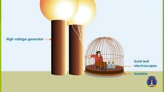 XII- Physics - Electrostatics-1.7.2 B - Electrostatic Shielding 3D