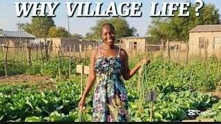 Why I Choose Village Life ~ Building in Rural Zimbabwe 