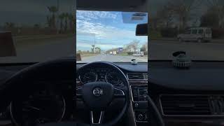 Zehir Oluyor Geceler Shorts