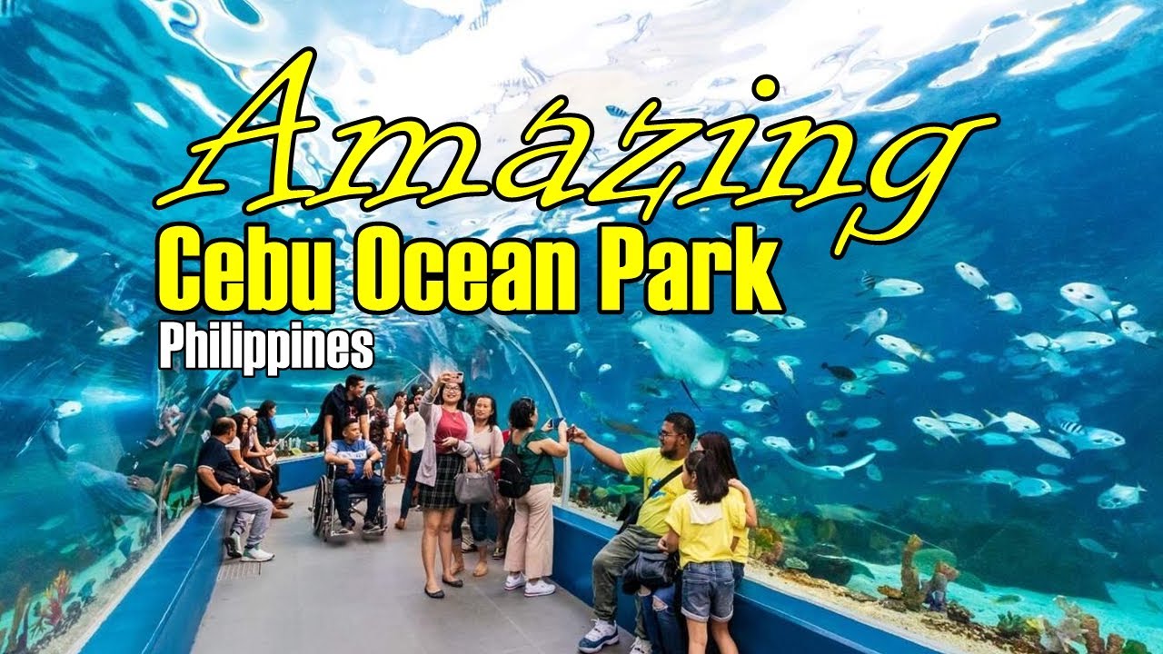 Amazing Cebu Ocean Park, Philippines