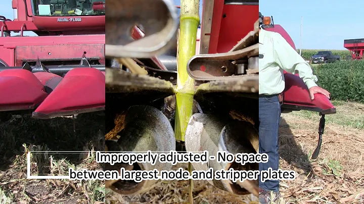 Marion Calmer on Setting Stripper Plates