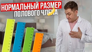 картинка: Нормальный размер полового органа. Откровенный разговор.