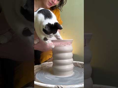 Her Cat Tried Making Pots And They Sold Out Instantly 