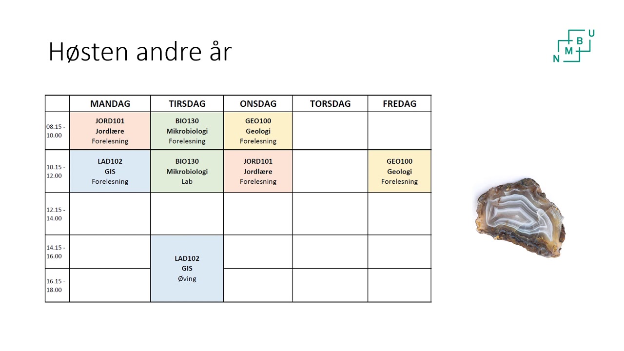 Bachelor i miljø og naturressurser - fag og timeplaner - 2021