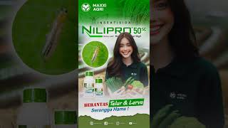 #maxxiagri : #insektisida  NILIPRO 50SC, BERANTAS TELUR &amp; LARVA HAMA TANAMAN #hortikultura #shorts