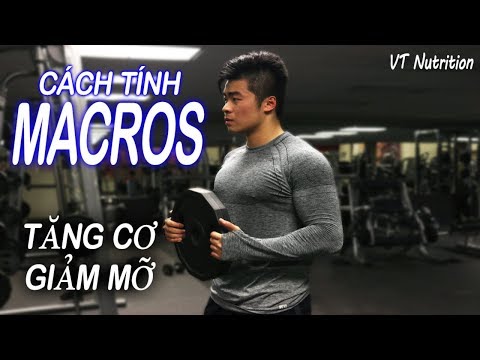 Video CÁCH TÍNH CALORIES & MACROS ĐỂ TĂNG CƠ VÀ GIẢM MỠ | VT... - youtube