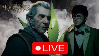 HOGWARTS LEGACY: HARRY POTHEAD LIVE @DMC101