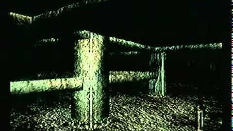 Fatal Frame 3 (ps2): Crawling women battle scare.