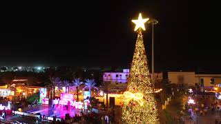encendido de luces navidad 2025, San Jose del Cabo