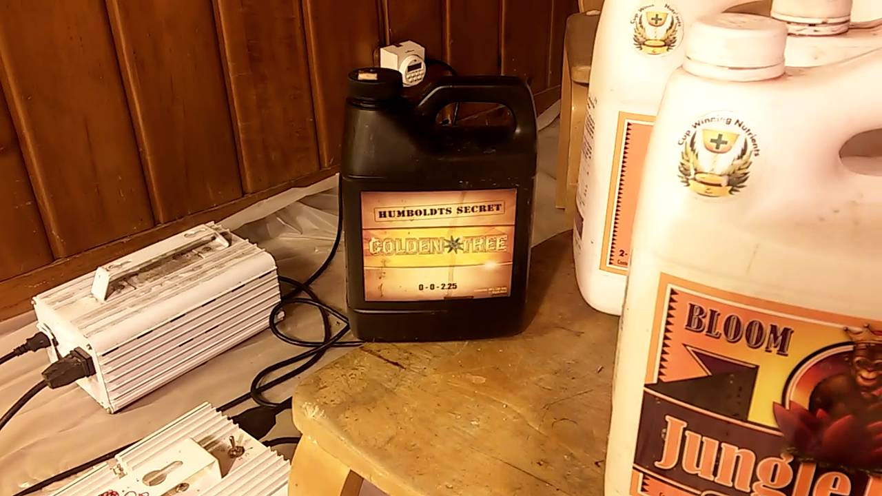 Golden Tree nutrient additive beats full line of additives from Advanced Nutrients