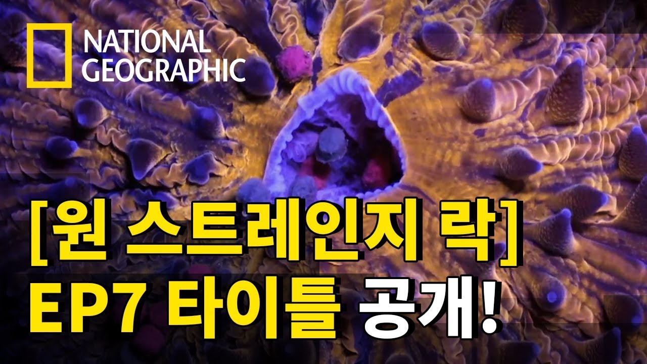 ⁣[원 스트레인지 락] '7부. 각성과 진화' 타이틀 영상 공개!