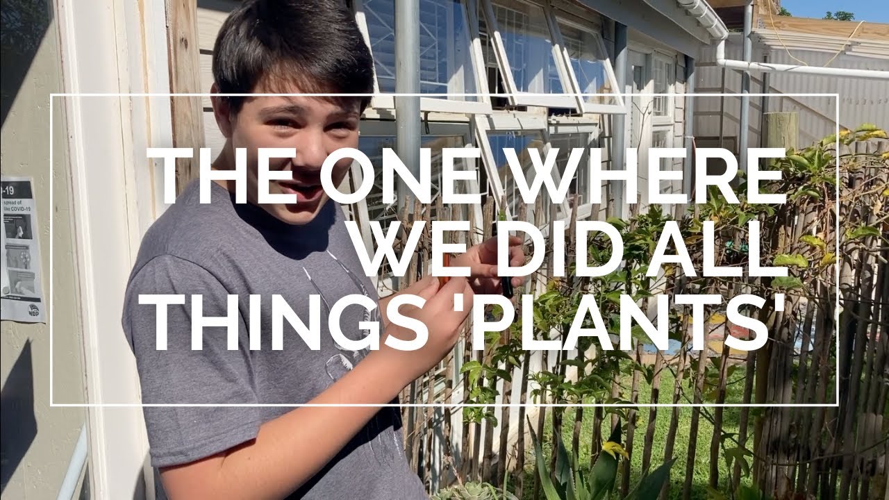 WE LEARNED ALL ABOUT PLANTS | Vlog #005 - YouTube