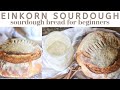 Easy noknead einkorn sourdough bread recipe