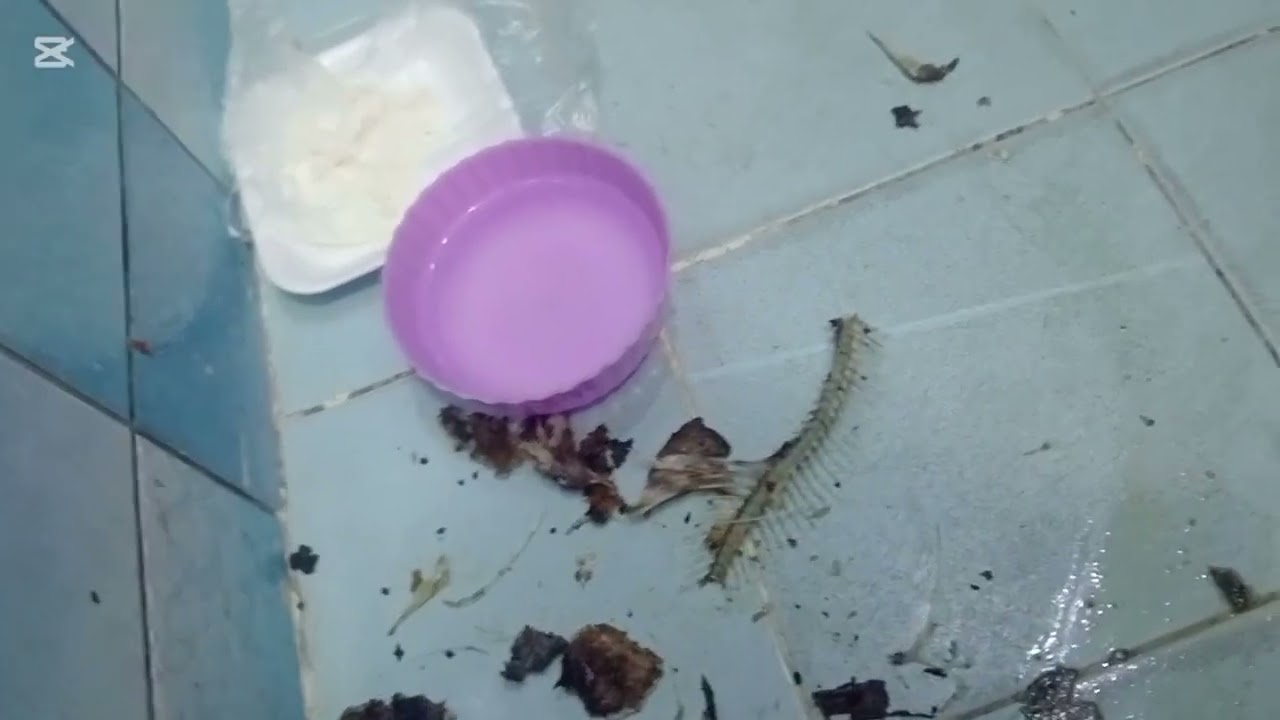 روتين بسيط بذكر الله كله هيعدي