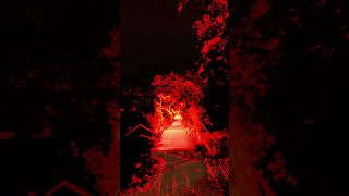 spirituality and distortion #igorrr #metal