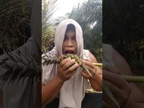 nanas madu muda😊😁