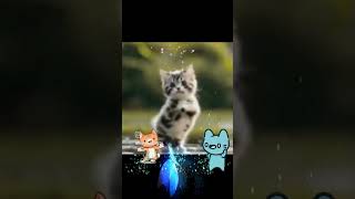 Another video from GIF capture and mix up ❤️.. audio.. From Illayaraja sir's case ❤️.. Apt suited❤️💫