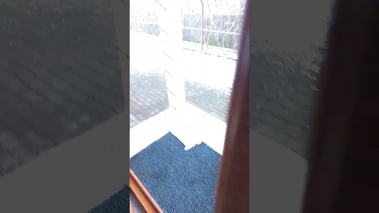 IT SNOWED LAST NIGHT