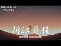 音闕詩聽 - 折江尋情 (feat.趙方婧)【動態歌詞Lyrics】