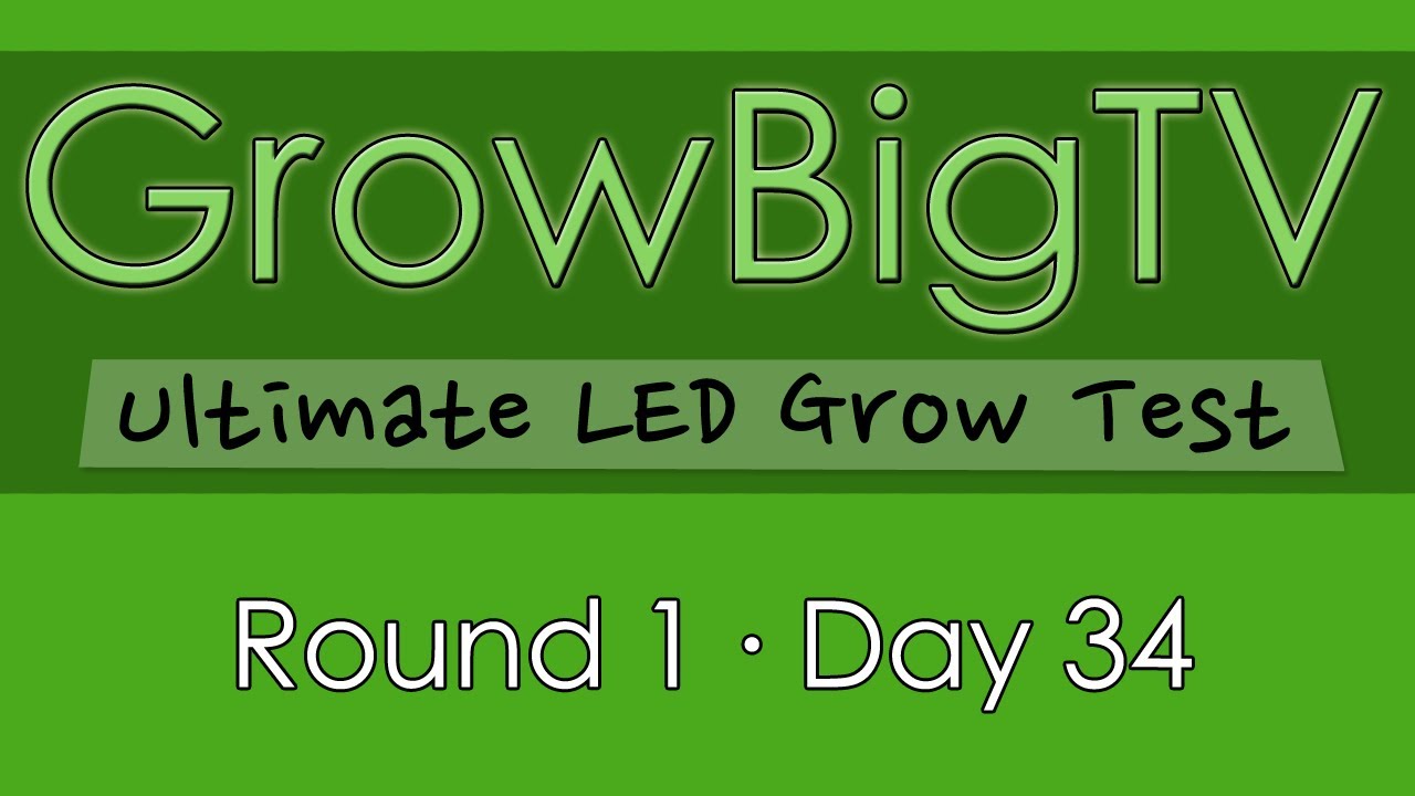 GrowBigTV Ultimate LED Test (Round 1) : Day 34