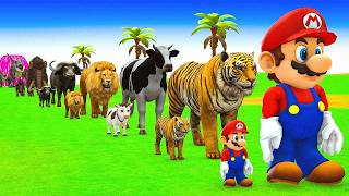 Long Slide Game With Cow Elephant Gorilla Hippopotamus Tiger 3d Animals Race Game Funny 3d Animals screenshot 4