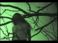 La Planta Caos Video Original