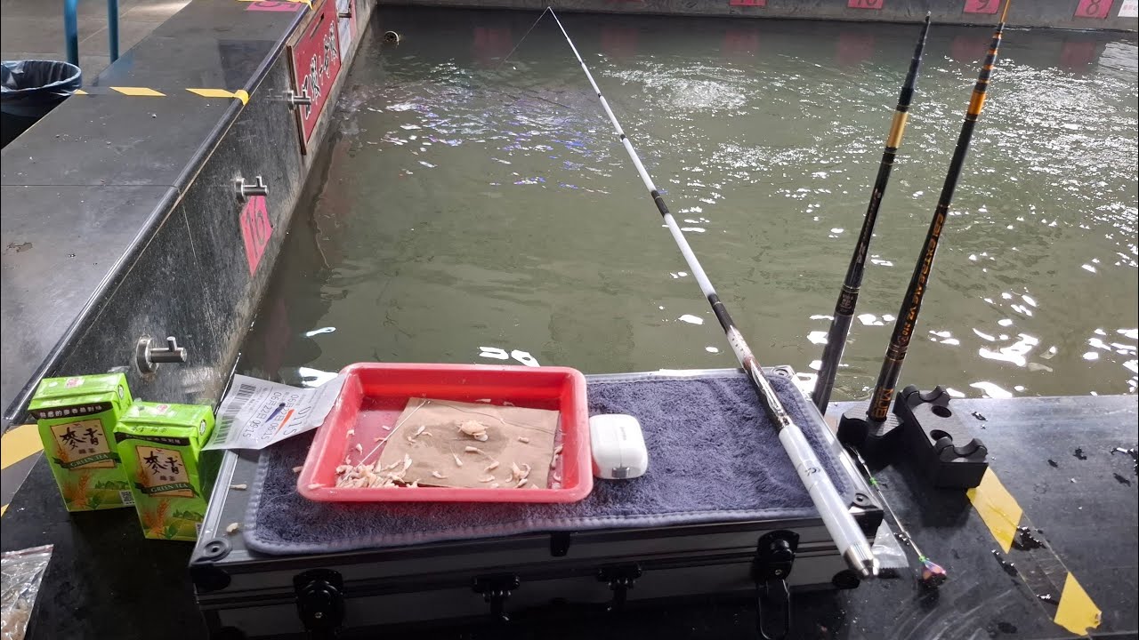 Daiwa 三日月 雪櫻 91H 210/240 開光 at 達樂釣蝦場 20250622