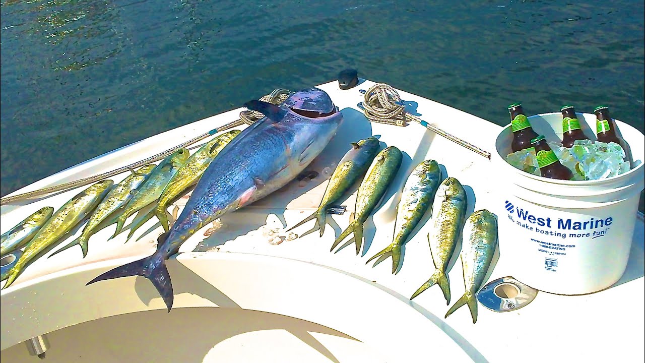 Overnight Canyon Tuna Trip To the Chicken Canyon, Bluefin Tuna & Mahi Mahi YouTube
