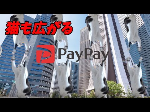 【猫でCM再現】広がるPayPay　広がり続ける猫　Commercial　Cat