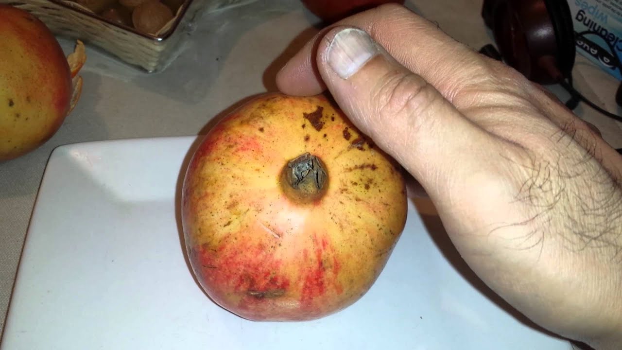 Pomegranate fruit- how to cut, open and eat! - YouTube