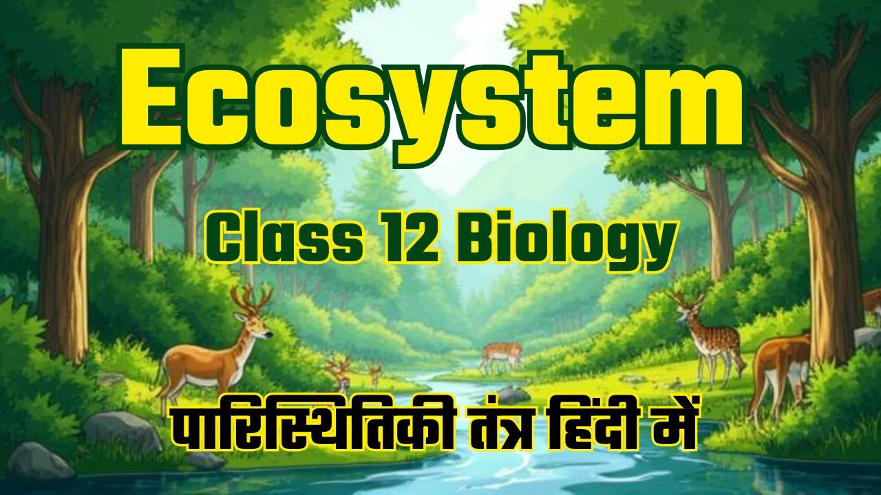 Ecosystem in Hindi | Class 12 Biology NCERT | Food Chain, Pyramid, 10% Law