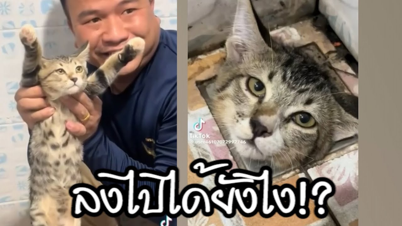 ลงไปได้ยังไง!?