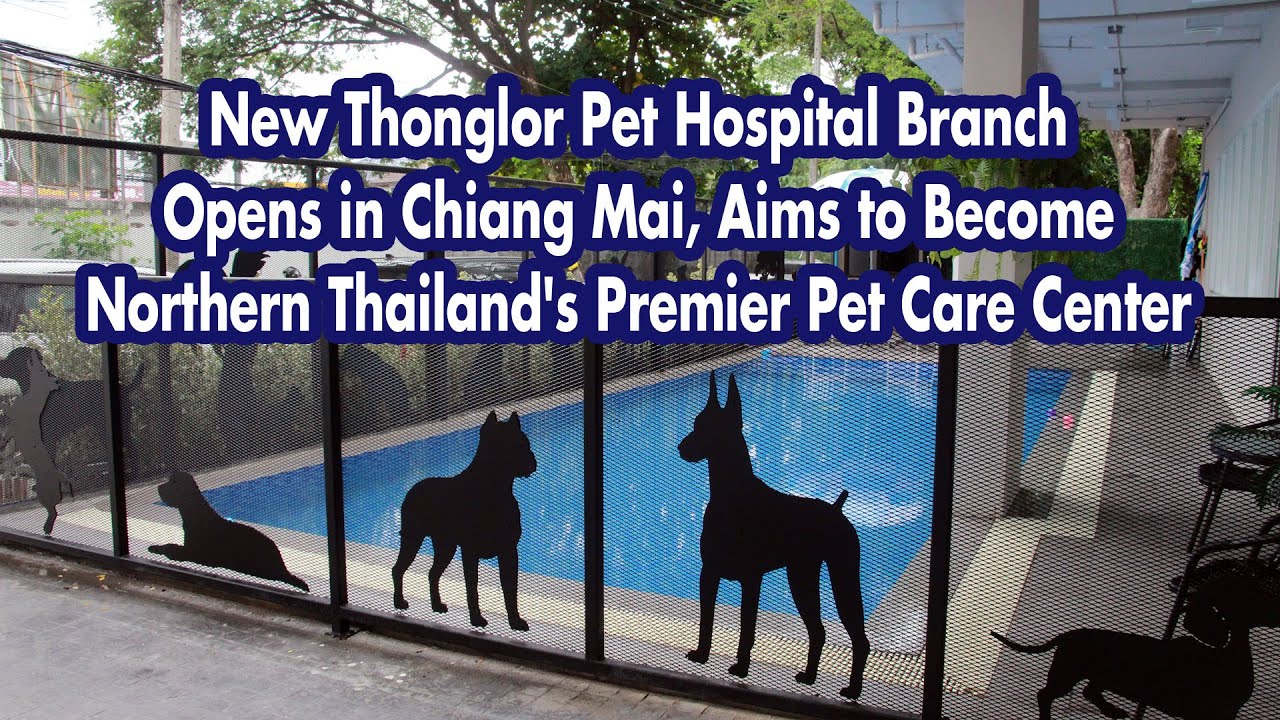 Good news for animal lovers! Thonglor Animal Hospital has opened a new branch in Chiang Mai.