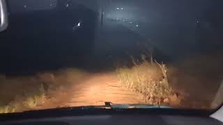 Até Tentamos Fazer Um Vídeo Do Carro Que Aparece, A Gravação Não Ficou Legal
