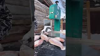 Snowy ice-fish in USA🥲