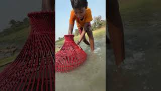 Amazing Fishing by polo #bigfishing #bigfish #shorts
