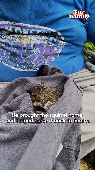 Man Uses His Leg To Save Squirrel From Water