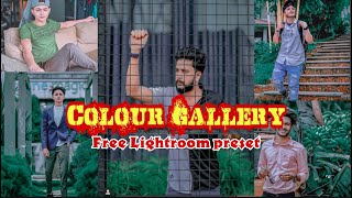 Colour gallery | Free Lightroom preset |cg  preset | Malayalam | Lightroom preset