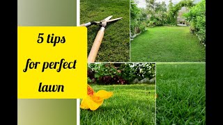 How To Get Lush Green Carpet look lawn| Lawn Care| HINDI