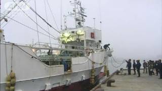 【地震】宮城で底引き網漁再開　復興の希望の光に（11/05/07）