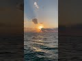 ربك لما يريد        