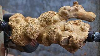 Woodturning: The Root Burl!