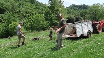 Setting Up Our Rotational Grazing Pastures