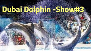 Dolphin Show || Act#3 @ Dubai Dolphinarium