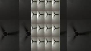 funny sound 👍👍👍👍👍👍 #video #edit