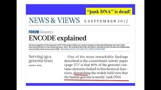 Junk DNA? No Such Thing! Common Designer - Kent Hovind