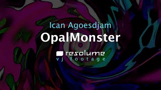 OPALMONSTER Video Loop Pack